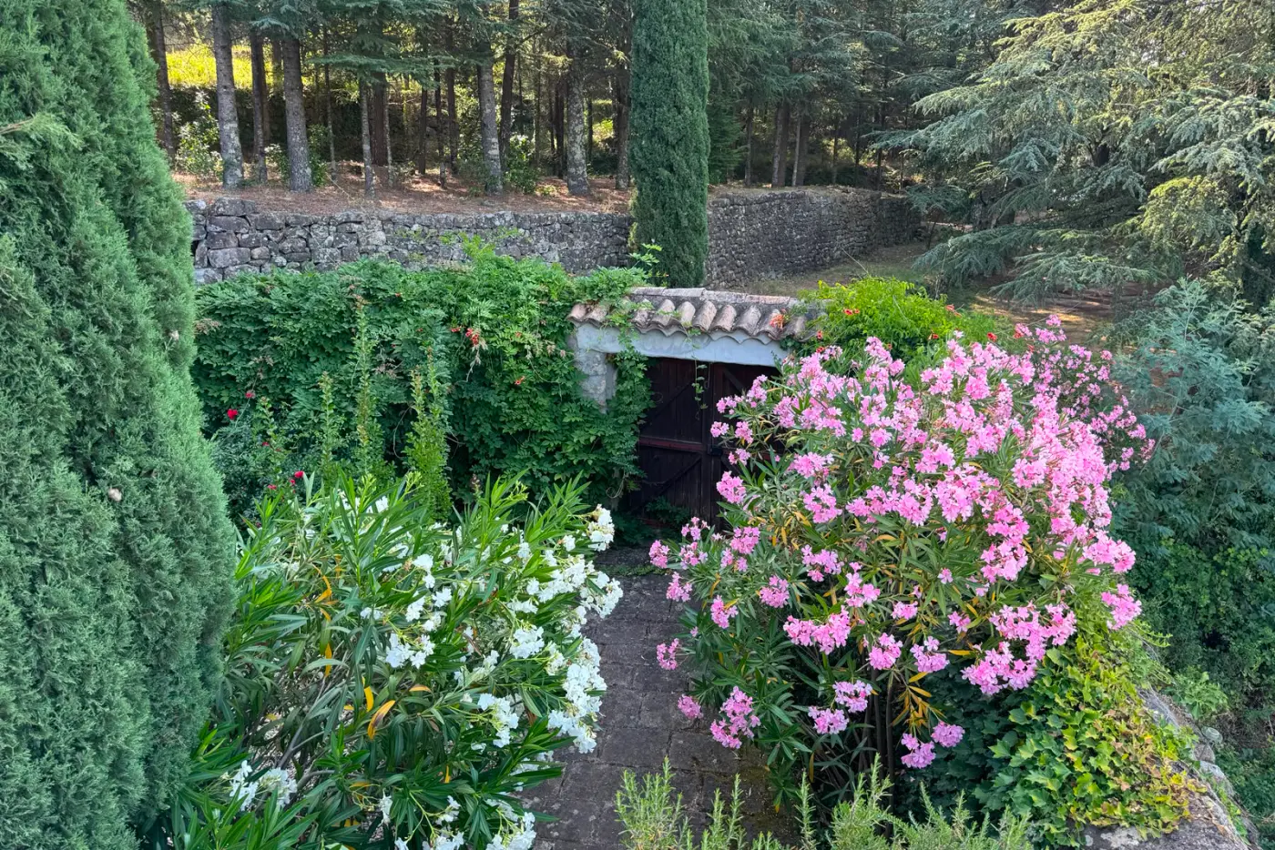 Garten mit Oleander und altem Steingebäude