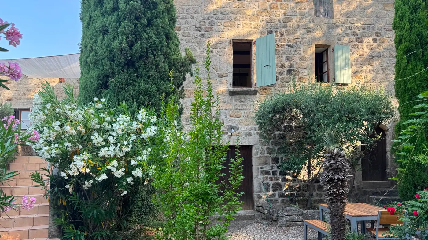 Innenhof mit Olivenbaum und Oleander