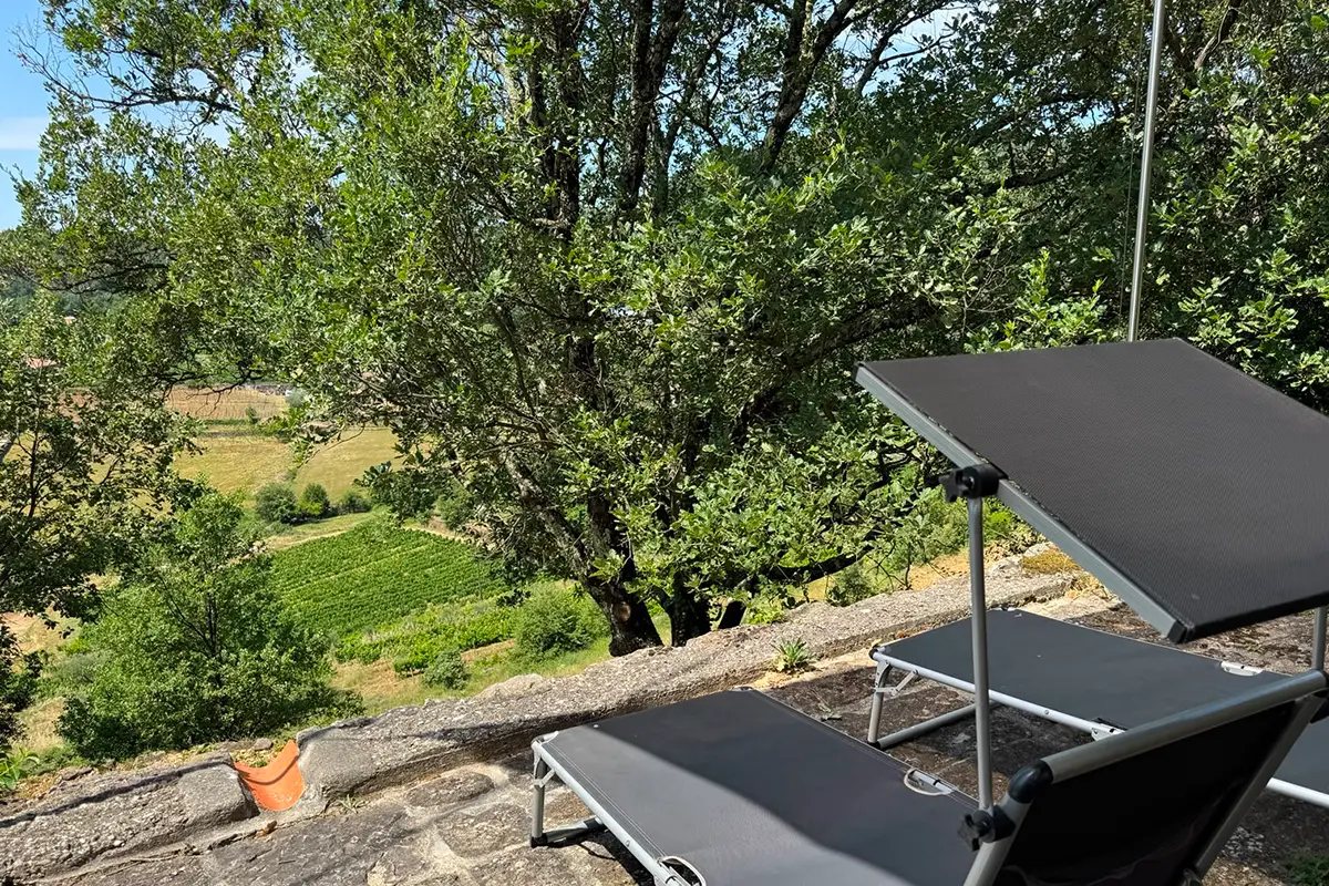 Liegen unter der Eiche mit Blick ins Tal